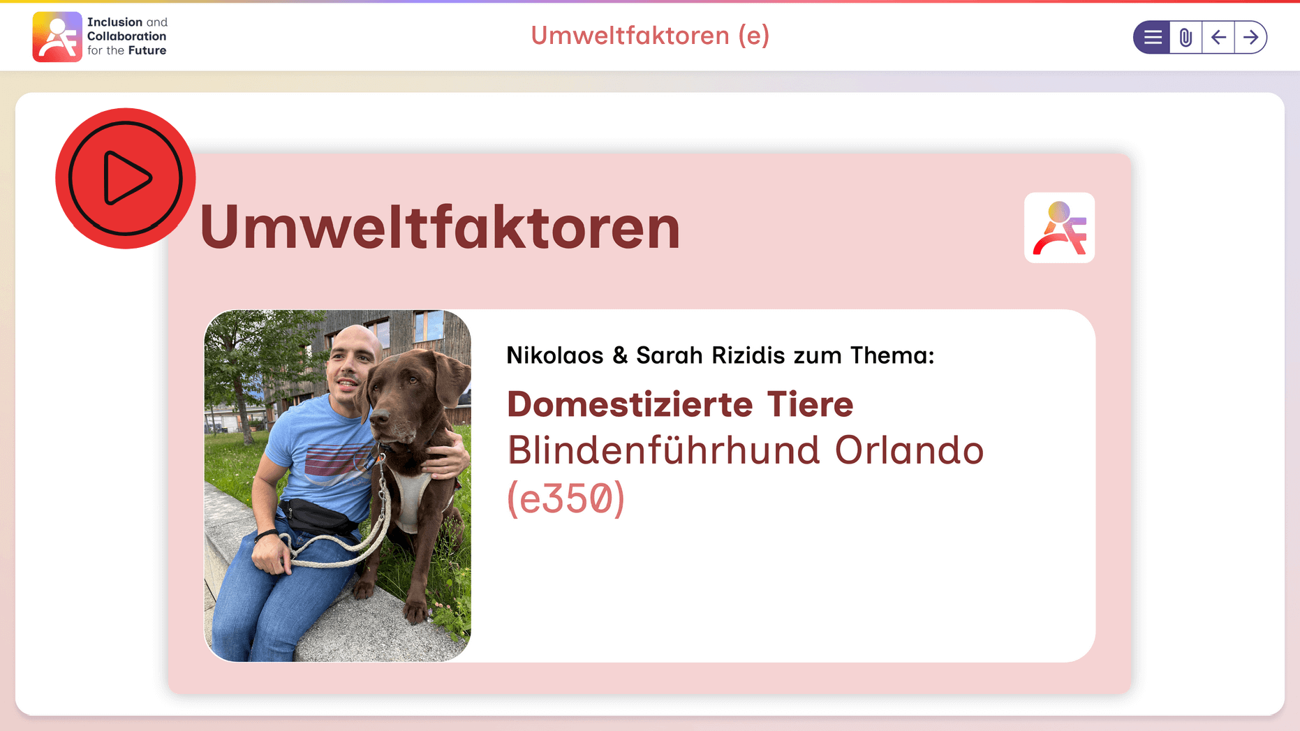 Screenshot: Praxisorientiert – Videomodul